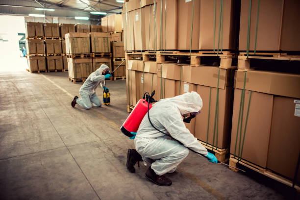 Best Pest Inspection Near Me  in Floris, VA