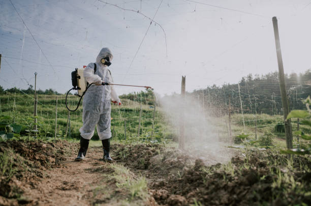Professional Pest Control in Floris, VA
