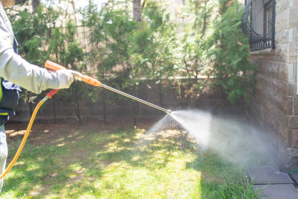 Best Cockroach Control Services  in Floris, VA