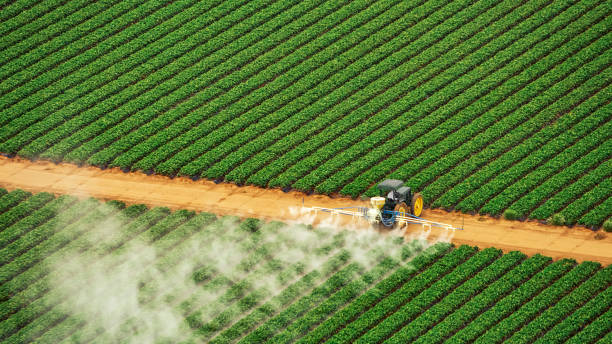 Best Commercial Pest Control Services  in Floris, VA