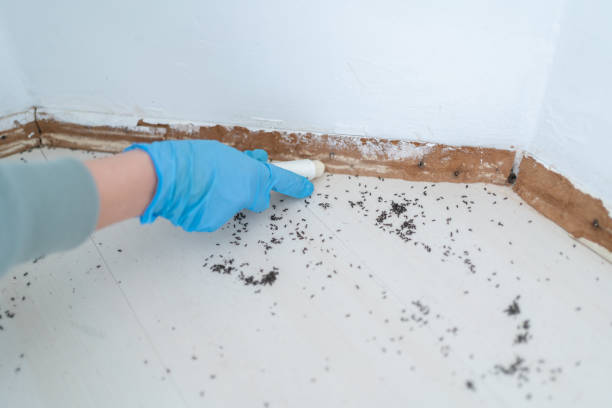 Best Pest Removal Services  in Floris, VA