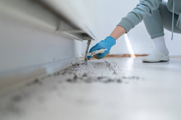 Best Pest Inspection Near Me  in Floris, VA