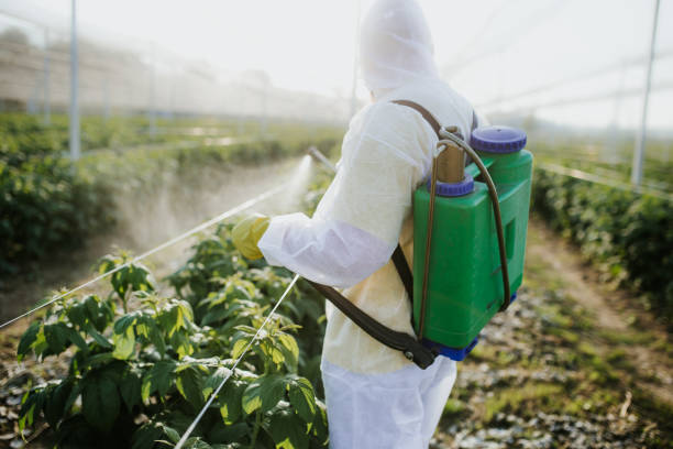Best Best Pest Control Companies  in Floris, VA